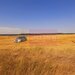 Teren pentru casa/case in Branesti pe strada Toporasi