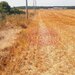 Teren pentru casa/case in Branesti pe strada Toporasi