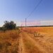 Teren pentru casa/case in Branesti pe strada Toporasi