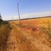 Teren pentru casa/case in Branesti pe strada Toporasi